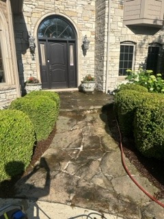 Stone Walkway before cleaning
