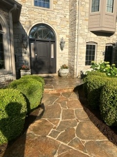 Stone Walkway after cleaning